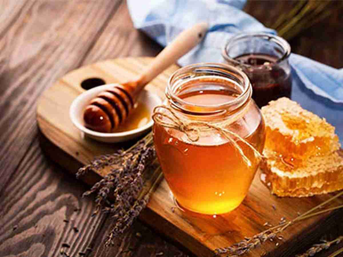 قیمت خرید عسل کوهی وحشی شیراز عمده به صرفه و ارزان